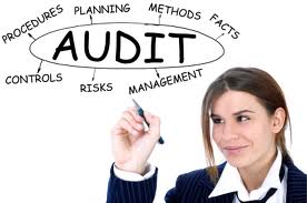 auditing services dublin